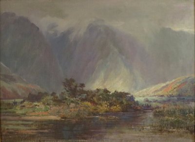 Unknown Image by D. Howard Hitchcock